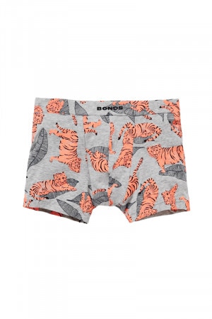 Boys Hipster Trunk