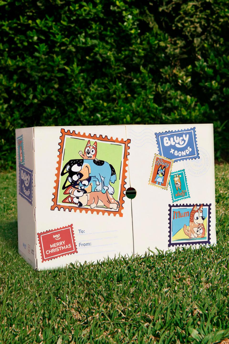 Bluey Baby Advent Calendar