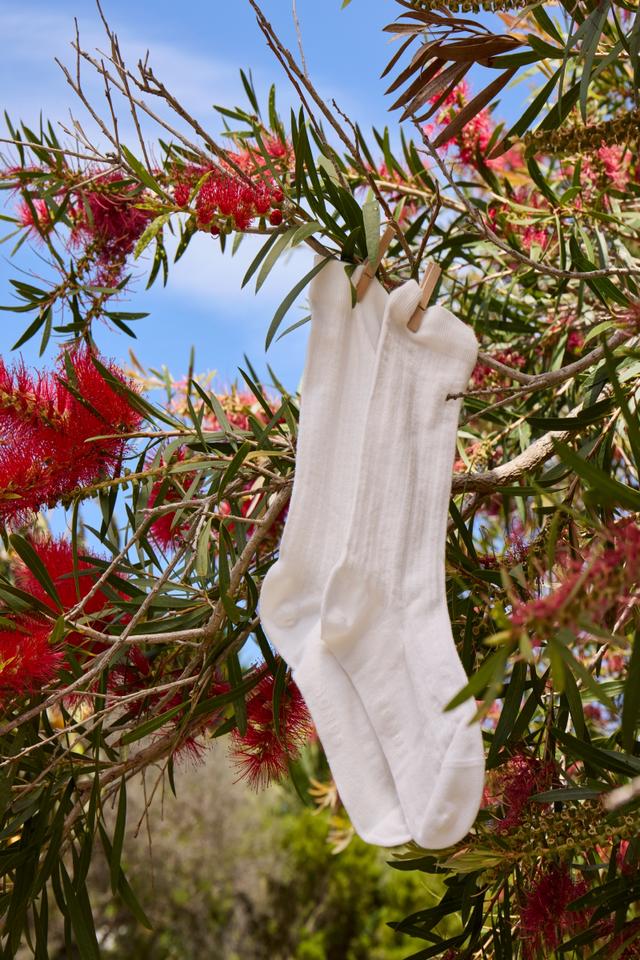 Womens Pointelle Crew Socks 1 Pack