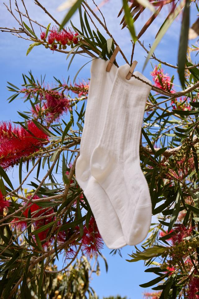 Womens Pointelle Crew Socks 1 Pack