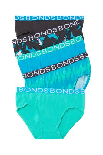 Boys Brief 5 Pack (Ziggy Zig-Ah)