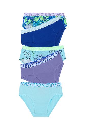Boys Brief 5 Pack (Aqua Blue Dino Multi)