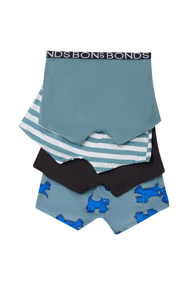 Boys Trunk 4 Pack