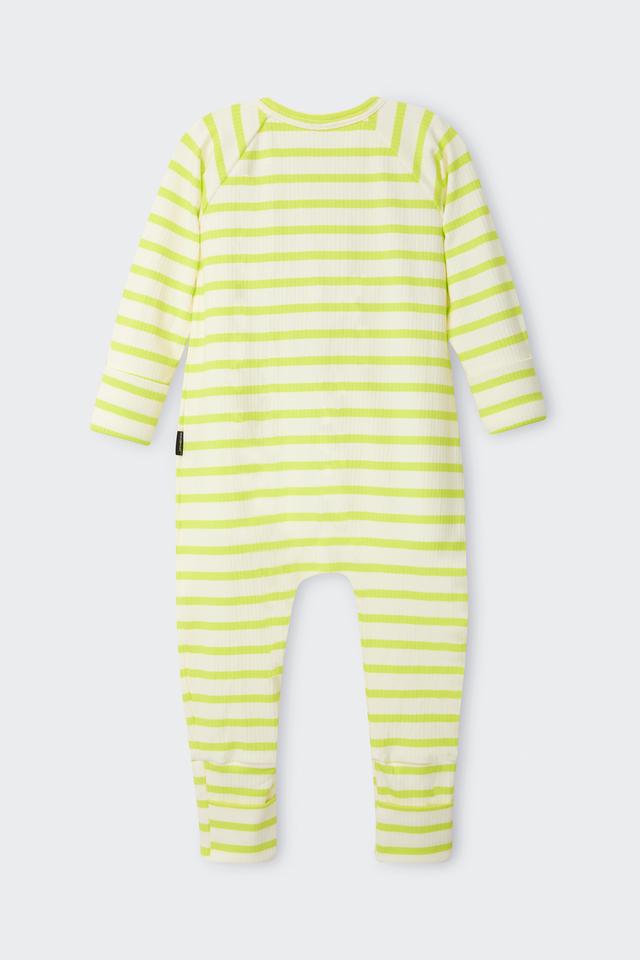 Wonder Rib Zippy
