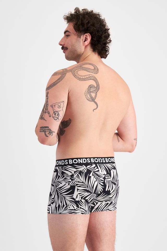 Classic Trunk 3 Pack