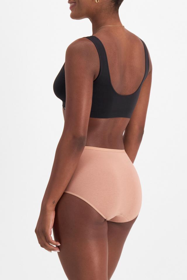 Damn Dry Full Brief