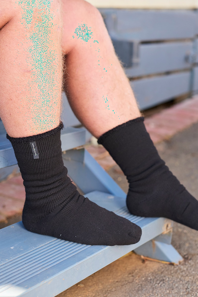 Explorer Original Wool Crew 3 Pack