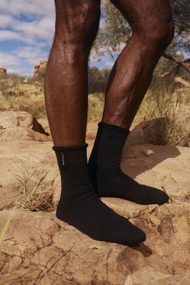 Explorer Original Wool Crew 3 Pack