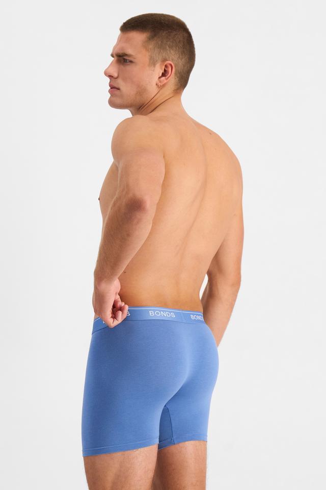 Guyfront Trunk 3 Pack