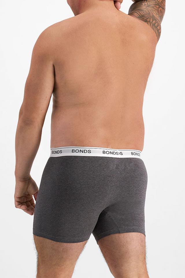 Guyfront Mid Trunk