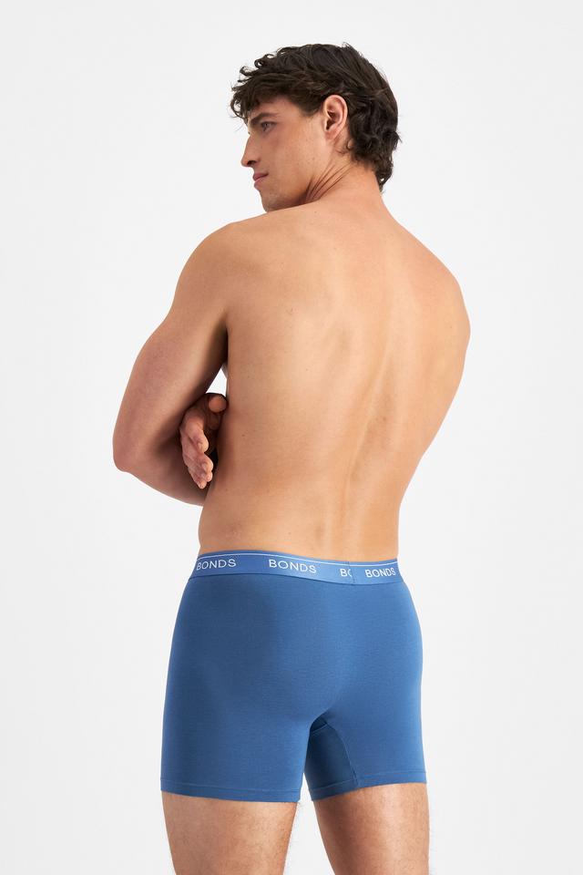 Guyfront Luxe Mid Trunk