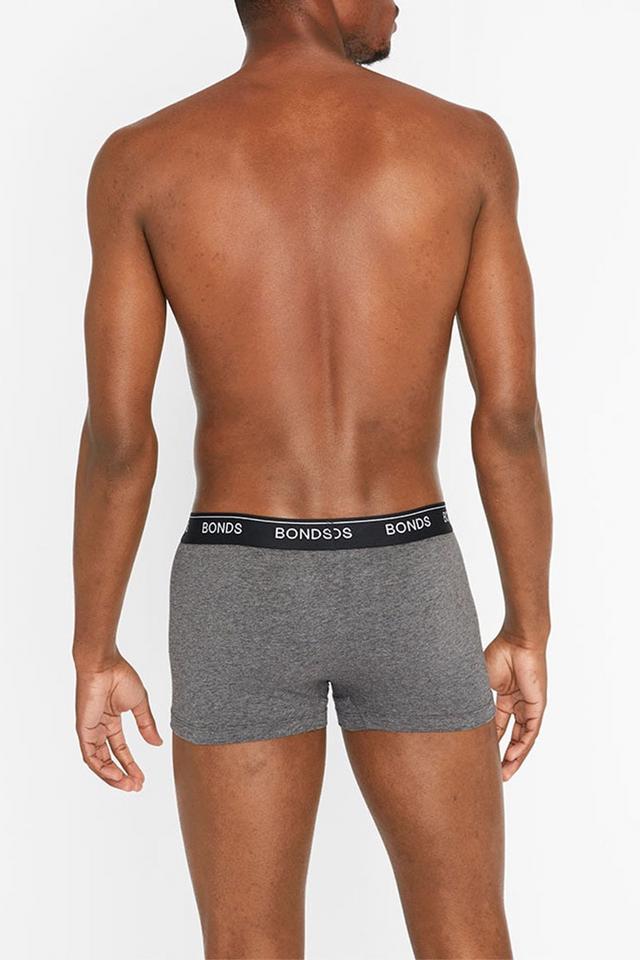 Guyfront Trunk