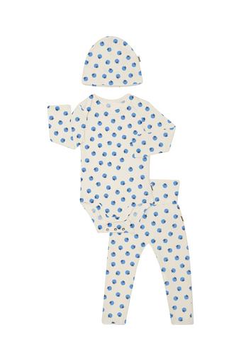Newbies Organic Cotton Gift Set (Blue-Berry Swet)