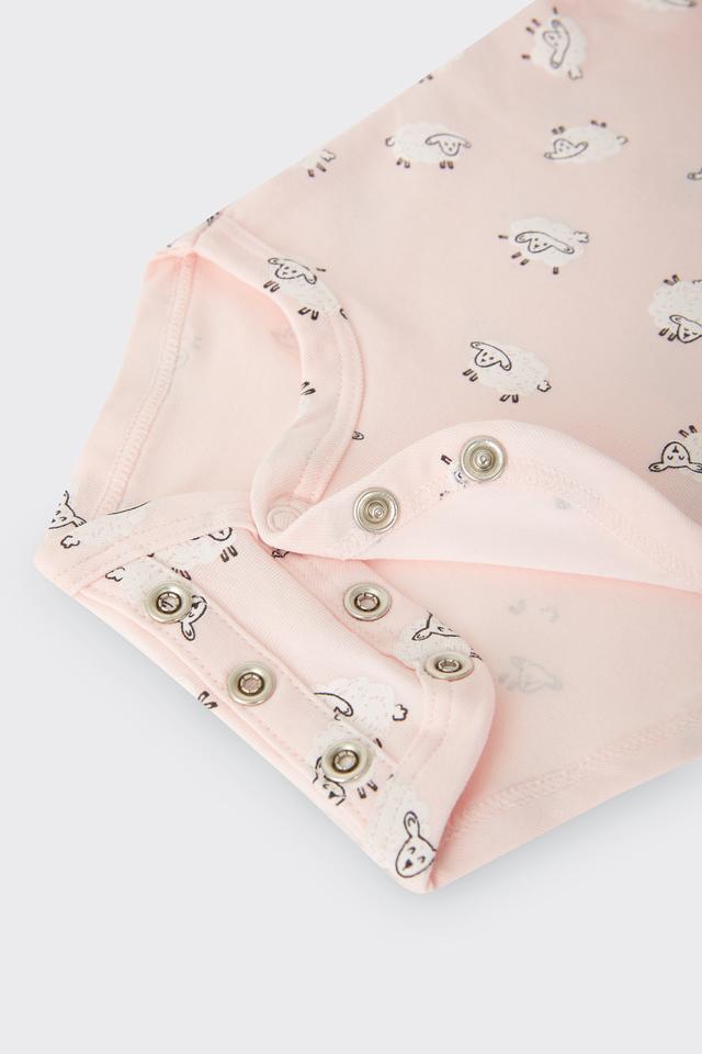 Newbies Organic Cotton Gift Set