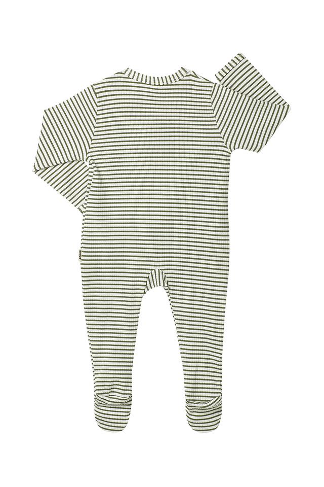 Newbies Rib Zippy