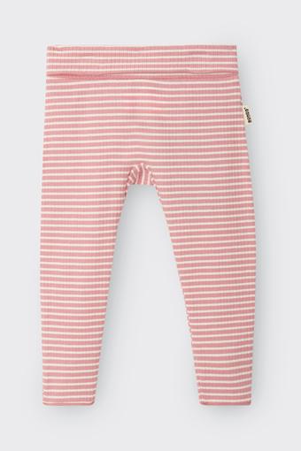 Newbies Wide Needle Rib Legging (Watermelon Sorbet/ Marscapone)