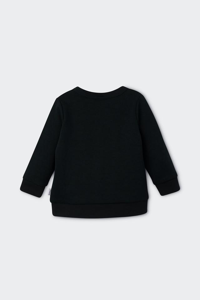 Tech Sweats Pullover