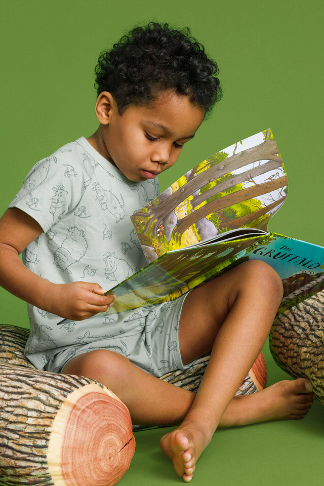 The Gruffalo | Bonds Kids Tee Sleep Set