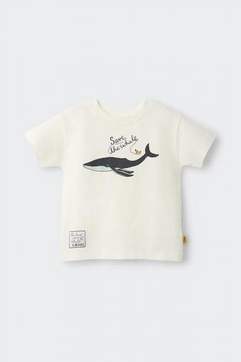 The Snail and the Whale | Bonds Kids Tee (The Snail and the Whale)