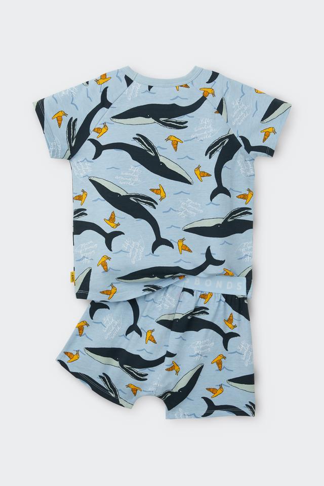 The Snail and the Whale | Bonds Kids Tee Sleep Set