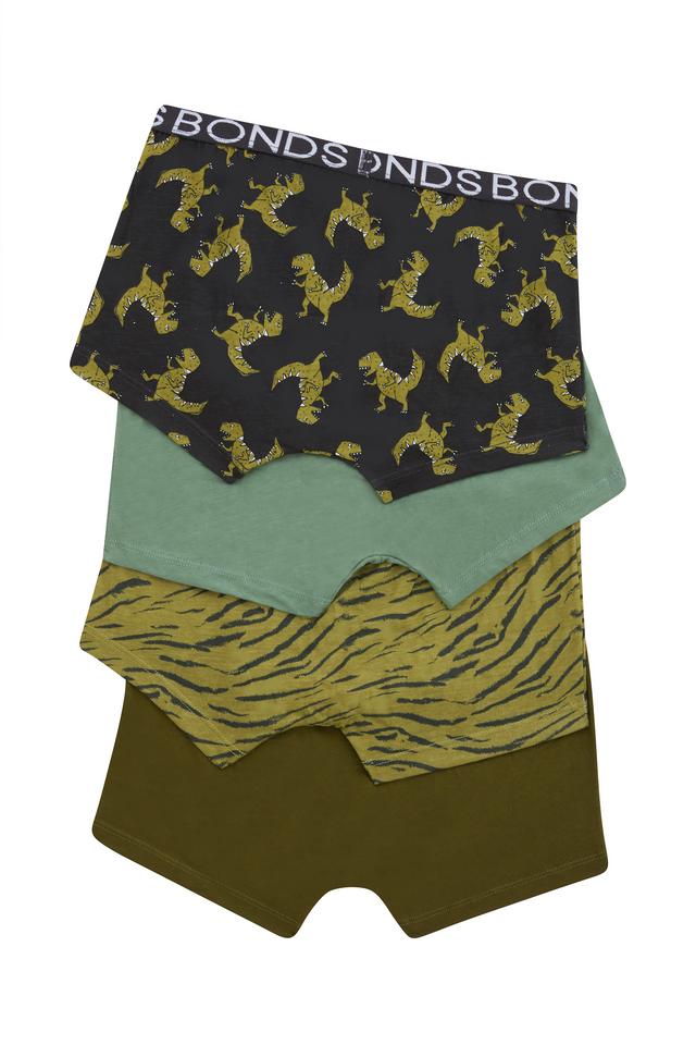 Boys Trunk 4 Pack