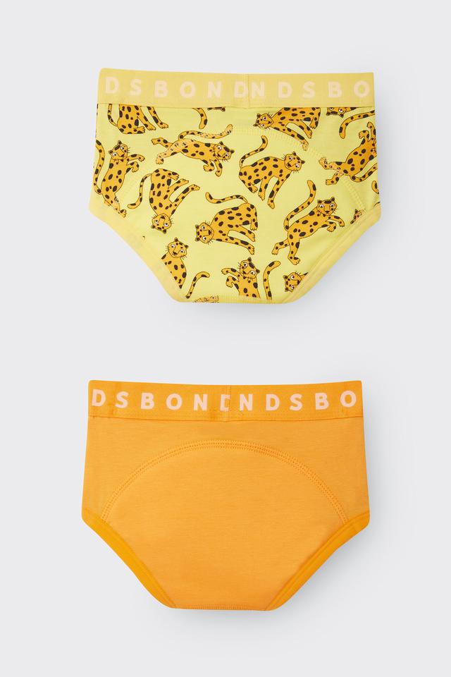 Whoopsies Toilet Training Undies 2 Pack