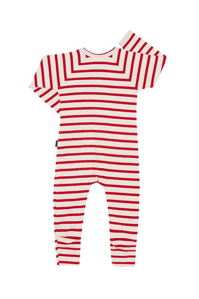 Wonder Rib Zippy