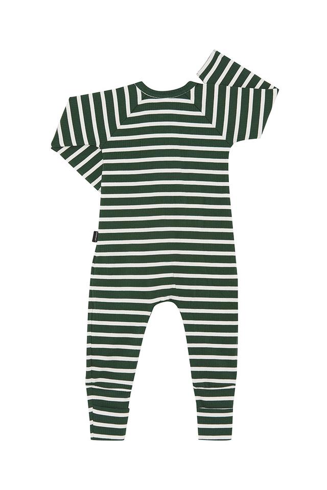 Wide Needle Rib Zippy